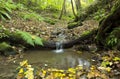 Small stream falling over a tree trunk. Royalty Free Stock Photo