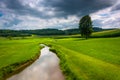 Small stream in a farm field in rural Carroll County, Maryland. Royalty Free Stock Photo