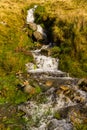 Small stream in a field after rain storm. fast shutter