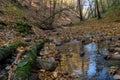 A small stream flowing through a crevice in the forest past rocks and fallen rotten tree trunks. Autumn landscape in a wild remote Royalty Free Stock Photo