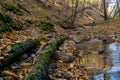 A small stream flowing through a crevice in the forest past rocks and fallen rotten tree trunks. Autumn landscape in a wild remote Royalty Free Stock Photo