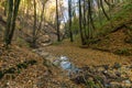 A small stream flowing through a crevice in the forest past rocks and fallen rotten tree trunks. Autumn landscape in a wild remote Royalty Free Stock Photo