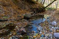 A small stream flowing through a crevice in the forest past rocks and fallen rotten tree trunks. Autumn landscape in a wild remote Royalty Free Stock Photo