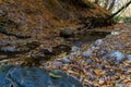 A small stream flowing through a crevice in the forest past rocks and fallen rotten tree trunks. Autumn landscape in a wild remote Royalty Free Stock Photo