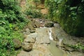 A small stream flowing down a rock bed in a tropical forest Royalty Free Stock Photo