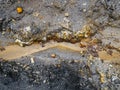 A small stream flowing in a quarry where there are deposits of iron ore Royalty Free Stock Photo