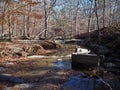 Stream in William B. Umstead State Park