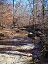 Stream in William B. Umstead State Park