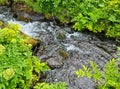 A small stream flows through a green meadow in Iceland Royalty Free Stock Photo