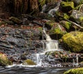 small stream in the forest running through mossy rocks and fallen leaves Royalty Free Stock Photo