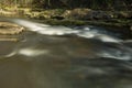 Small stream in the forest