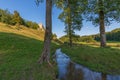 a small stream with meadows and trees on the Niehauser Berg and the castle ruins Royalty Free Stock Photo