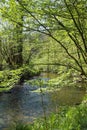 Small stream on a hiking path near Burg Pyrmont