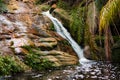 Small stream in jungle Royalty Free Stock Photo