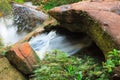 Small stream in jungle Royalty Free Stock Photo