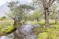 A small stream in Lake District National Park