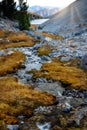 Small stream leads into a little Idaho mountain lake Royalty Free Stock Photo