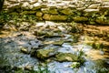 Small Stream Lined with mountain stone