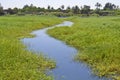 Small stream through marshland Royalty Free Stock Photo