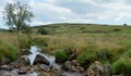 Dartmoor stream Royalty Free Stock Photo