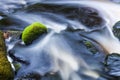 Small stream in mixed forest Royalty Free Stock Photo