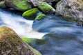 Small stream in mixed forest Royalty Free Stock Photo