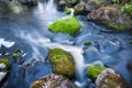 Small stream in mixed forest Royalty Free Stock Photo