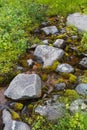 A small stream in northern Siberia. Stones and moss. Royalty Free Stock Photo