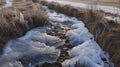 A small stream running through the field its onceflowing water now frozen in time. The icy surface is adorned with Royalty Free Stock Photo