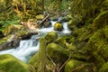 Small stream running between green moss covered rocks Royalty Free Stock Photo