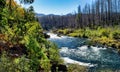 a small stream with water in it near forest's Royalty Free Stock Photo