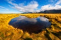 Small stream running through nordic nature on Lofoten islands