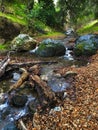 Small stream Royalty Free Stock Photo