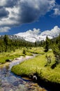 A Small Stream in the Sierra Nevadas Royalty Free Stock Photo