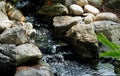 Small Stream With Slate And Rocks And Fern Frond
