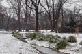 Small stream and snow-covered tufts of grass, lawn and trees in city park in foggy morning. Royalty Free Stock Photo