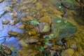 A small stream stained orange from acid mine drainage. Royalty Free Stock Photo