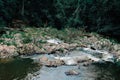 Small stream, stony and overgrown with moss in a green hazel and oak forest in Thailand