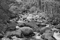 Small stream in Volcan Baru National Park Panama in black and white Royalty Free Stock Photo