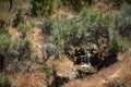 Small stream of water falling into timy pool in scrub desert Royalty Free Stock Photo