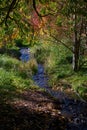 A Small Stream Winds Its Way Past Trees In Fall Colors In A City Park. Royalty Free Stock Photo