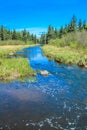 From the roadside, Riding Mountain National Park, Manitoba, Canada