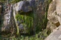 Small streams of a waterfall flow down over stones covered with grass and moss. Royalty Free Stock Photo