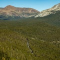 Small Stretch of Tioga Road Through The Thick Forest