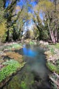 Small stretch of the Volturno river in early spring, Molise region, Italy