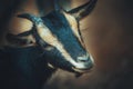 a small striped goat with horns Royalty Free Stock Photo