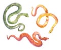 Small striped multicolored snakes. Watercolor isolated illustration. Set for creating striped cartoon snakes Royalty Free Stock Photo