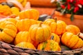 Small striped pumpkins. Decorative dwarf orange pumpkins, close-up Royalty Free Stock Photo