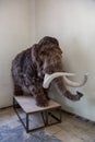 Small stuffed mammoth