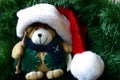 Small Stuffed Teddy Bear Wearing Santa's Hat